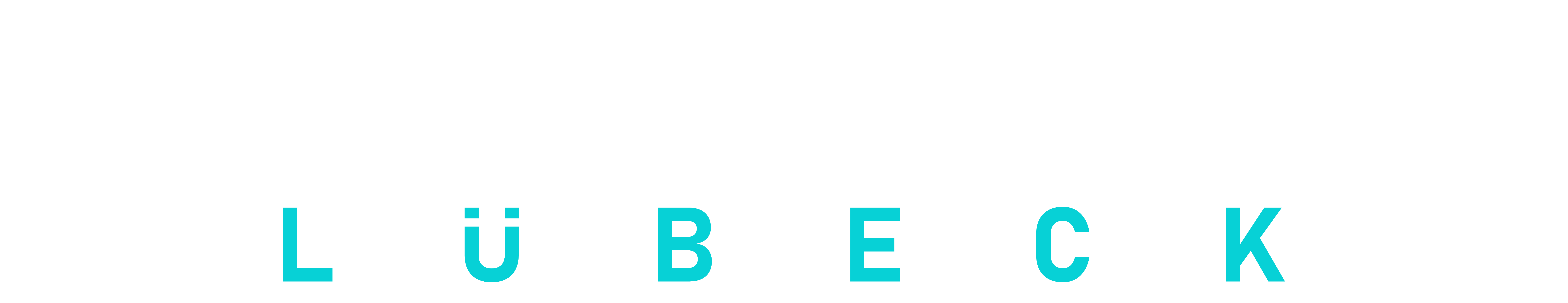 Steinreinigung Lübeck - Steinreinigung, Terrassenreinigung, Gebäudereinigung, Gartenpflege, Imprägnierung, Verdichtung, Gehwegreinigung (2)